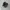 Nike Streetwear Casual Sneakers Pria black photo 1