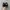 Nike Streetwear Casual Sneakers Pria black photo 4