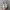 Nike Streetwear Casual Sneakers Wanita white blue photo 4