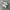 Nike Streetwear Casual Sneakers Wanita white pink photo 1