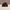 Casual Hat Pria burgundy photo 1