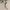 J. PRESS Vintage Casual Polo shirt Pria multicolor white photo 2