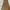 Fairy Evening dress Wanita brown photo 2