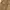 Fairy Evening dress Wanita brown photo 3