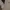 Club Monaco Luxury Gorpcore Cardigan Wanita white black photo 3