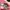 Nike Skater Casual Sneakers Pria Red Blue