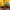 Vintage Hat Pria yellow photo 6