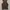 Freaky Massive Y2K Casual Casual shirt Pria brown cream photo 4