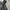 ZARA Sportswear Puffer jacket Pria black photo 8
