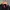 Adidas Sportswear Track jacket Pria black photo 3