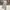 GU Streetwear Casual Casual pants Pria tan photo 1
