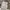 GU Streetwear Casual Casual pants Pria tan photo 6