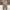 GU Sportswear Casual Casual pants Pria tan photo 2