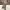 GU Sportswear Casual Casual pants Pria tan photo 1