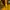 The North Face Sportswear Sweater Pria brown yellow photo 5