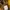 The North Face Sportswear Sweater Pria brown yellow photo 8