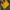 The North Face Sportswear Sweater Pria brown yellow photo 3