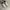 Streetwear Minimalist Sneakers Pria white brown photo 3