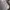 Spalding Luxury Casual Casual shirt Pria multicolor photo 7