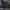 The North Face Sportswear Sweater Wanita navy photo 1