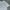 ZARA Casual T-shirt Pria white photo 4