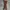 Uniqlo Streetwear Casual Formal pants Pria brown photo 1