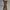Uniqlo Streetwear Casual Formal Pants Pria Brown