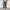 Uniqlo Streetwear Casual Formal pants Pria brown photo 2