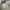 Nike Streetwear Sportswear Sweatpants & Joggers Pria gray photo 8