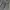 Nike Streetwear Sportswear Sweatpants & Joggers Pria gray photo 5