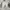 Wrangler Casual Jeans Pria tan photo 3