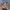 Vintage Streetwear Hat Pria tan photo 2