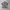 Luxury Casual shirt Pria white photo 1