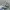 New Balance Streetwear Casual Sneakers Pria gray photo 1