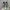New Balance Streetwear Gorpcore Sneakers Pria white gray photo 3