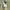 Fairy Coquette Midi dress Wanita white photo 3