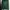 Hard Rock Cafe Vintage Sweatshirt Pria green photo 6