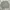Budweiser Streetwear Sweatshirt Pria black gray photo 4