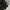 Dickies Streetwear Hoody Pria multicolor photo 4
