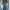Streetwear Skater Jeans Pria navy photo 7
