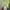 Mahagrid Casual T-shirt Pria green photo 4