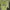 Mahagrid Casual T-shirt Pria green photo 3