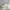 Casual Casual shoe Pria white photo 1