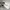 Casual Casual shoe Pria white photo 3