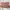 Superga Skater Casual Casual shoe Pria cream photo 6