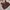 Coquette Casual Sweatshirt Wanita brown photo 1
