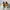 Converse Casual Casual shoe Pria orange photo 4
