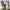 Nike Sportswear Sneakers Pria green gray photo 4