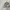 Nike Sportswear Sneakers Pria green gray photo 3