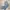 Levi's Streetwear Skater Jeans Pria gray photo 7